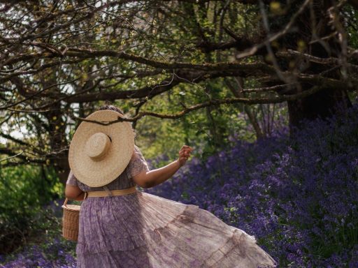 3 Things You Should Never Do In Bluebell Woods – A Curious Fancy