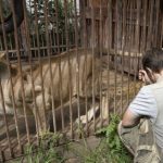Lady offers shelter to wild animals and pets in war-torn Ukraine